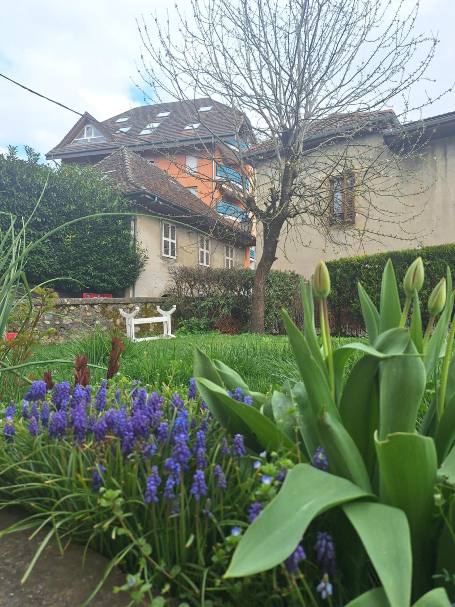 Chez Eric - L'Atypique Apartment Rumilly  Exterior photo
